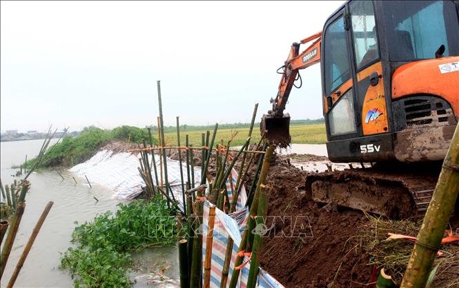 Trong ảnh: Chính quyền và người dân địa phương đã cơ bản khắc phục được sự cố vỡ bờ bao tại xã Trà Giang, huyện Kiến Xương. Ảnh: Thế Duyệt – TTXVN 