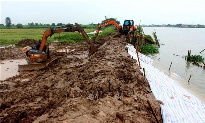 Trong ảnh: Khắc phục sự cố vỡ bờ bao tại xã Trà Giang, huyện Kiến Xương. Ảnh: Thế Duyệt – TTXVN


