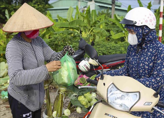 Trong ảnh: Sản phẩm hoa sen được tiêu thụ ngay tại địa phương. Ảnh: Tuấn Đức - TTXVN