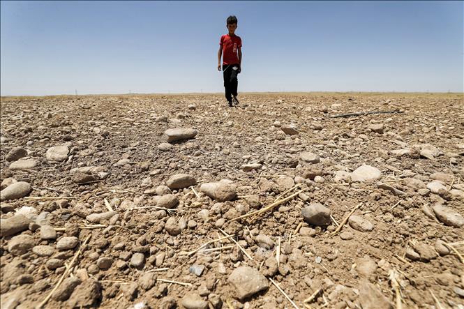  Trong ảnh: Một cánh đồng khô nứt nẻ do hạn hán kéo dài tại Diyala, Iraq. Ảnh: AFP/TTXVN