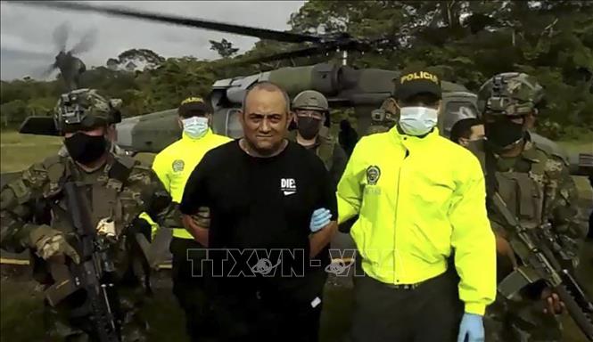 Trong ảnh: Binh sĩ và cảnh sát Colombia áp giải đối tượng Dairo Antonio Usuga (giữa) tại Bogota ngày 23/10/2021. Ảnh: AFP/ TTXVN