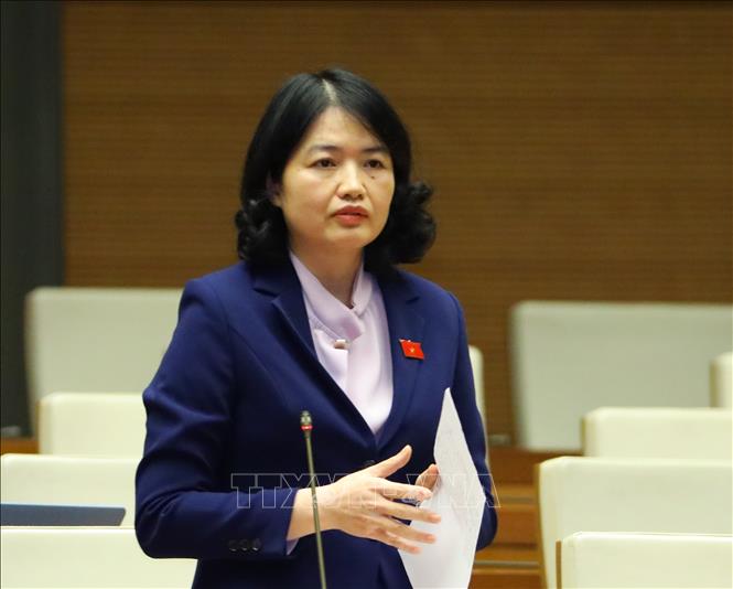 Đại biểu Quốc hội tỉnh Hải Dương Nguyễn Thị Mai Thoa phát biểu. Ảnh: Văn Điệp -TTXVN 