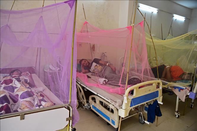 Trong ảnh: Bệnh nhân mắc sốt xuất huyết được điều trị tại bệnh viện ở Allahabad, Ấn Độ, ngày 22/10/2021. Ảnh: AFP/ TTXVN