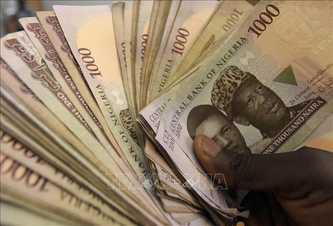 Trong ảnh (tư liệu): Tiền giấy mệnh giá 1000 naira của Nigeria. Ảnh: AFP/ TTXVN