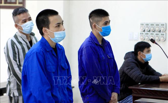 Trong ảnh: Bị cáo Bùi Mạnh Tiến (áo xanh bên trái) cùng các bị cáo tại phiên tòa. Ảnh:  Thế Duyệt  - TTXVN