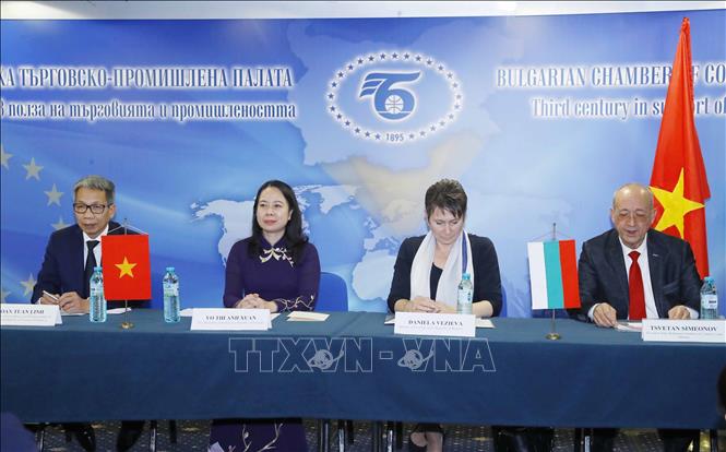 Photo: Vice President Vo Thi Anh Xuan at the discussion. VNA Photo: Phương Hoa