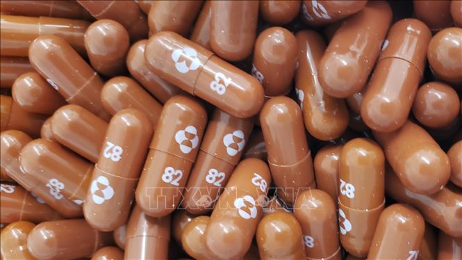 Trong ảnh: Thuốc kháng virus molnupiravir của hãng dược Merck & Co, Mỹ. Ảnh: AFP/TTXVN
