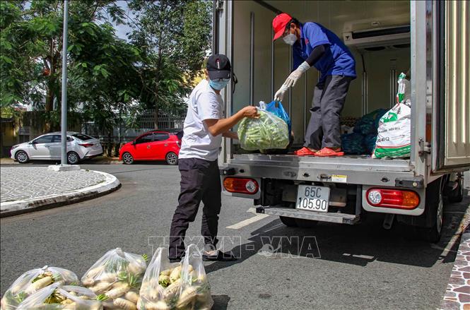 Trong ảnh: Anh Minh Trung vận chuyển rau củ của các nhà hảo tâm đóng góp đến tặng cho Bệnh viện Đa khoa thành phố Cần Thơ. Ảnh: Thanh Liêm - TTXVN