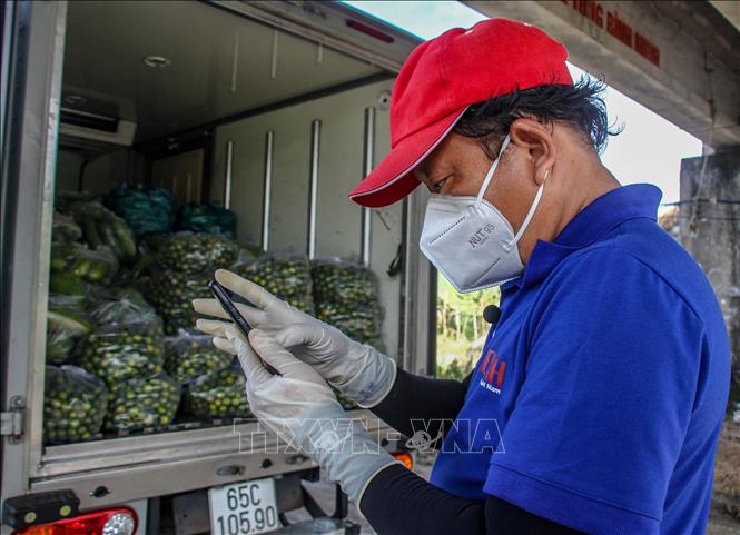 Trong ảnh: Sau khi nhận nông sản, anh Trung liên lạc với các nơi đang cần để vận chuyển tới. Ảnh: Thanh Liêm - TTXVN
