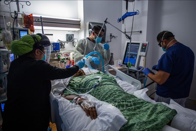 Trong ảnh: Điều trị cho bệnh nhân nhiễm COVID-19 tại bệnh viện ở California, Mỹ. Ảnh: AFP/TTXVN