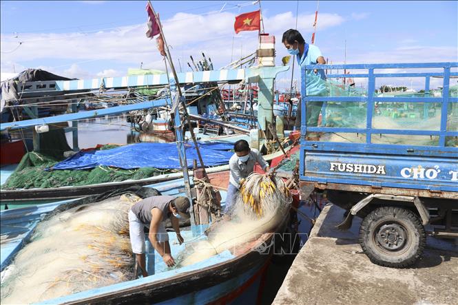 Trong ảnh: Ngư dân đeo khẩu trang phòng, chống dịch khi làm việc tại cảng cá Đông Hải, thành phố Phan Rang – Tháp Chàm. Ảnh: Nguyễn Thành – TTXVN