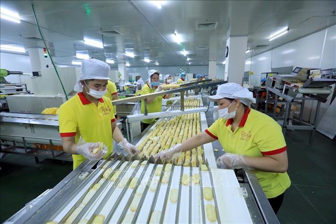 Trong ảnh: Công nhân làm việc trong nhà máy luôn đảm bảo công tác an toàn vệ sinh thực phẩm và phòng, chống dịch. Ảnh: Tuấn Anh – TTXVN