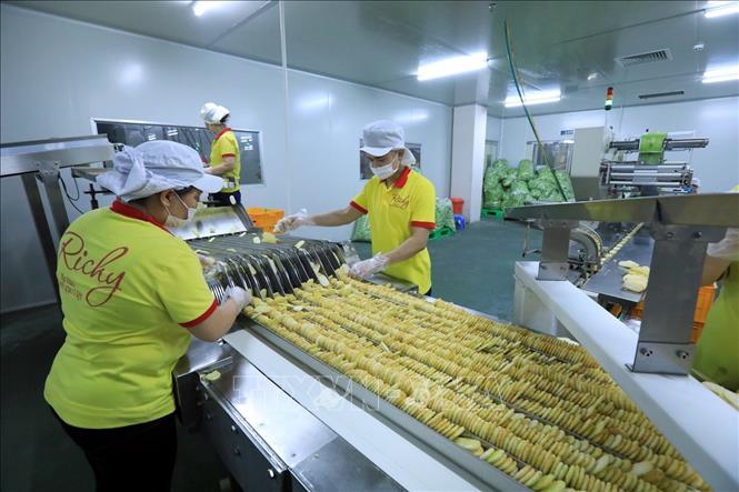 Trong ảnh: Sắp xếp sản phẩm bánh gạo Richy Jinju vào khuôn trước khi được đóng gói thành phẩm. Ảnh: Tuấn Anh – TTXVN