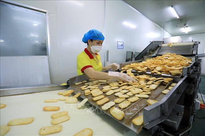 Trong ảnh: Công nhân nhà máy luôn đảm bảo công tác vệ sinh an toàn thực phẩm. Ảnh: Tuấn Anh – TTXVN
