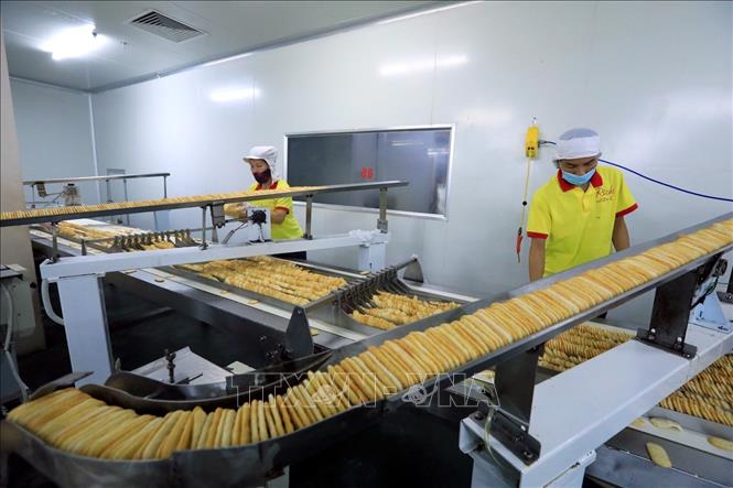 Trong ảnh: Sản phẩm bánh gạo Richy Jinju được sắp xếp gọn gang trước khi đưa vào dây chuyền đóng gói tự động. Ảnh: Tuấn Anh – TTXVN