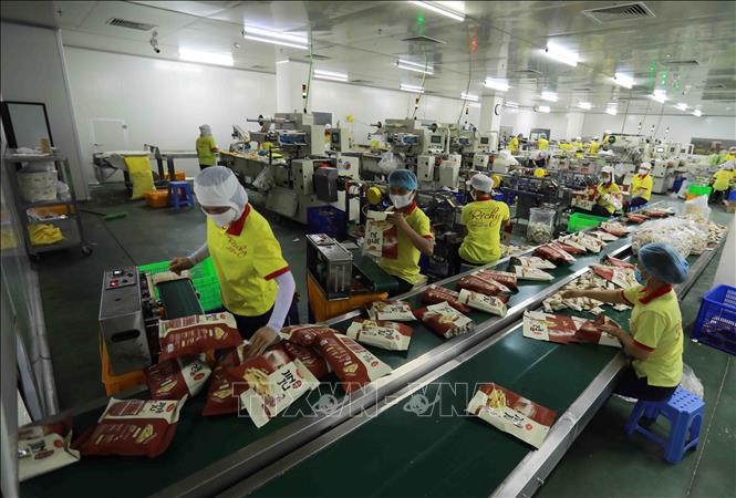 Trong ảnh: Dây chuyền đóng gói sản phẩm bánh gạo Richy Jinju. Ảnh: Vũ Sinh – TTXVN