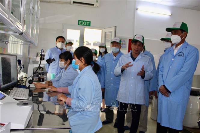 Đoàn công tác khảo sát phòng thí nghiệm tại Công ty Cổ phần Giống gia súc Hà Nội. Ảnh: Nguyễn Thắng -TTXVN