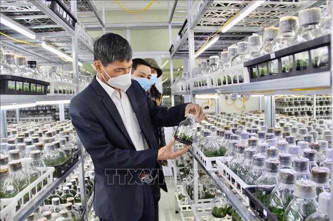 Đoàn công tác khảo sát khu nhà thực nghiệm tại Viện Nghiên cứu Rau quả.  Ảnh: Nguyễn Thắng -TTXVN