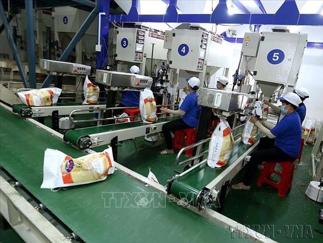 Kim ngạch xuất nhập khẩu sang các nước đối tác tăng, củng cố thị trường truyền thống, khơi thông nhiều thị trường tiềm, nâng cao năng lực cạnh tranh đối với các doanh nghiệp trong nước. Trong ảnh: Đóng bao gạo tại nhà máy chế biến của Công ty CP nông nghiệp công nghệ cao Trung An (Cần Thơ) xuất khẩu sang thị trường Nhật Bản, Trung Đông, Malaysia, Australia và Trung Quốc. Ảnh: Vũ Sinh - TTXVN