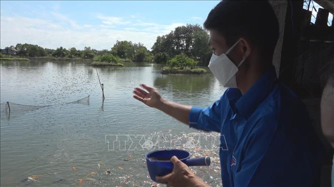 Trong ảnh: Cá Koi là mô hình mới tại vùng biên Bình Phước. Ảnh:  K GỬIH-TTXVN
