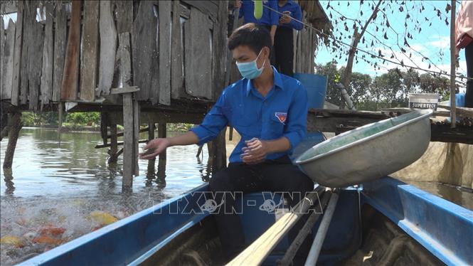 Trong ảnh: Cá Koi là mô hình mới tại vùng biên Bình Phước. Ảnh:  K GỬIH-TTXVN