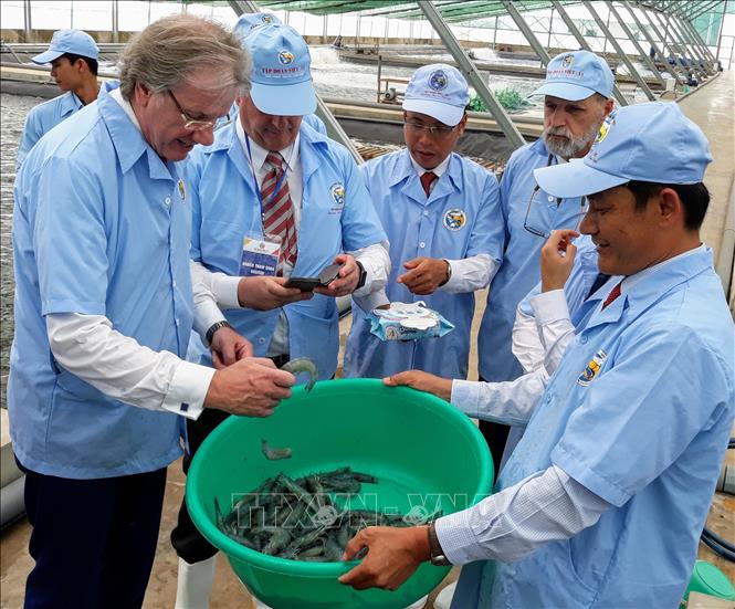 Photo: Australian businesses make a fact-finding tour to the Viet Uc Seafood Corporation in the Mekong Delta province of Bac Lieu. VNA Photo: Tuấn Kiệt  