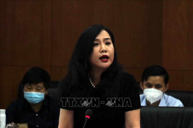 Trong ảnh: Bà Nguyễn Thị Thảo Nhi, Chủ tịch HĐQT kiêm Tổng Giám đốc Công ty Cổ phần Thanh Bình-Phú Mỹ, chủ đầu tư KCN Phú Mỹ 3 phát biểu tại buổi gặp gỡ. Ảnh: Đoàn Mạnh Dương-TTXVN