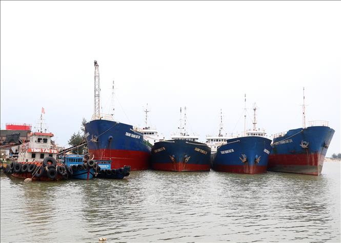 Photo: The overloaded Cua Viet seaports in Gio Linh district, the central province of Quang Tri, needs to be upgraded to welcome large ships. VNA Photo: Nguyên Lý