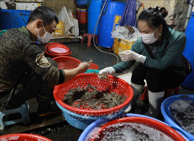 Trong ảnh: Tiểu thương kinh doanh ở chợ đầu mối phía Nam (quận Hoàng Mai, Hà Nội) chuẩn bị nguồn hàng để cung cấp cho người dân. Ảnh: Vũ Sinh - TTXVN