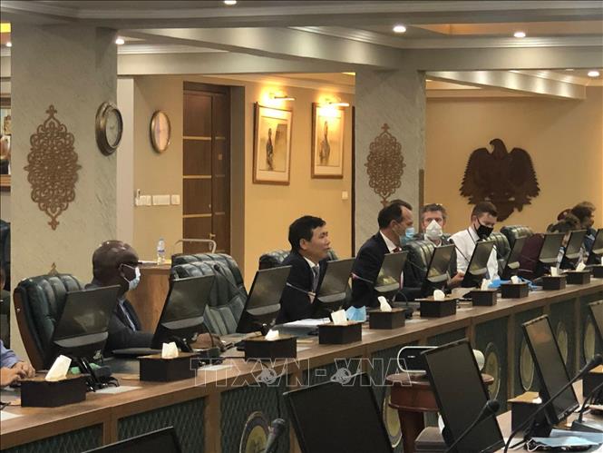 Đại sứ Đặng Đình Quý phát biểu tại buổi làm việc với Hội đồng Bộ trưởng Nam Sudan. Ảnh: TTXVN