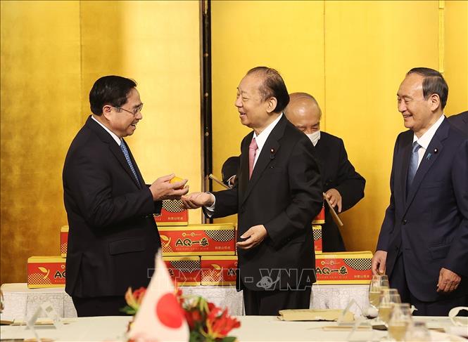 Photo: Chairman of the Japan - Vietnam Parliamentary Friendship Alliance Nikai Toshihiro presents an Unshu mandarin to Prime Minister Pham Minh Chinh. VNA Photo: Dương Giang