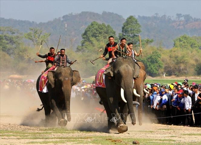 Lễ hội đua voi ở huyện Lắk (Đắk Lắk) - Một hoạt động văn hóa thu hút nhiều khách tham quan trong và ngoài nước. Ảnh: Dương Giang  - TTXVN