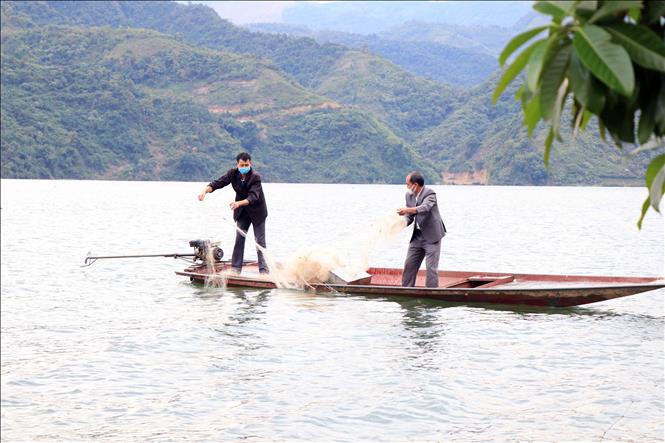 Trong ảnh: Người dân tái định cư Thủy điện Sơn La quay về nơi ở cũ để tiếp tục làm nghề đánh bắt thủy sản. Ảnh: Hữu Quyết – TTXVN