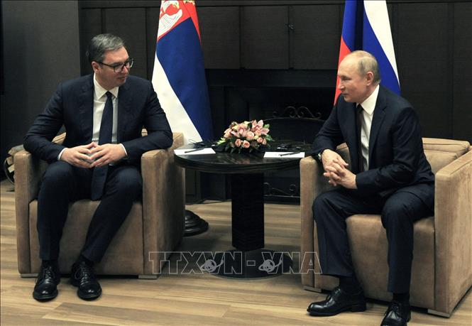 Trong ảnh: Tổng thống Nga Vladimir Putin (phải) và Tổng thống Serbia Aleksandar Vucic tại cuộc gặp ở Sochi ngày 25/11/2021. Ảnh: AFP/ TTXVN