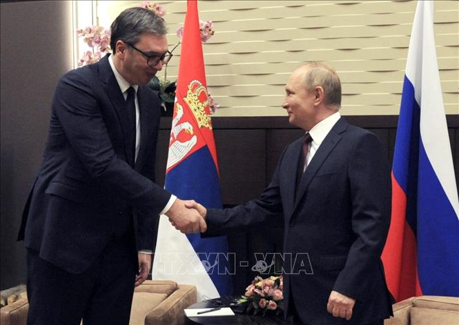 Trong ảnh: Tổng thống Nga Vladimir Putin (phải) và Tổng thống Serbia Aleksandar Vucic tại cuộc gặp ở Sochi ngày 25/11/2021. Ảnh: AFP/ TTXVN