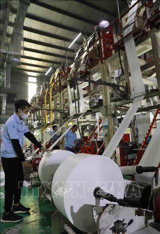 Trong ảnh: Dây chuyền sản xuất túi nhựa xuất khẩu tại nhà máy của Công ty Cổ phần HAPLAST. Ảnh: Vũ Sinh - TTXVN
