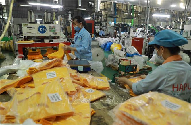 Trong ảnh: Các sản phẩm của Công ty Cổ phần HAPLAST được xuất khẩu sang thị trường châu Âu, Mỹ, Canada... Ảnh: Vũ Sinh - TTXVN