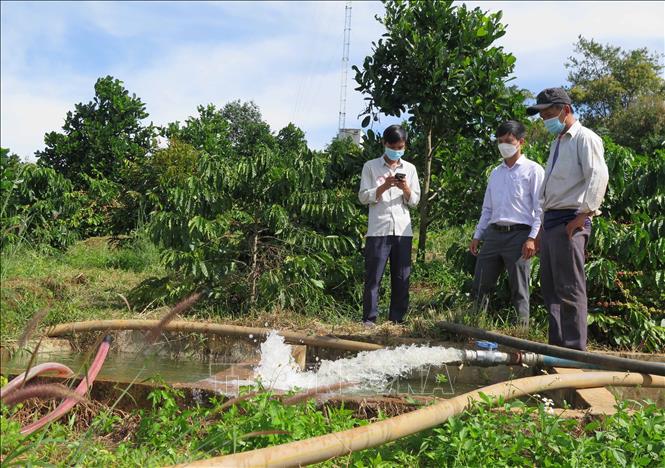 Bể chứa nước trước khi đưa vào hệ thống máy tưới nước tiết kiệm. Ảnh: Dư Toán – TTXVN