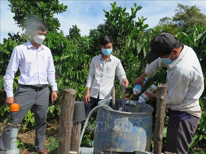 Nông dân xã Đăk Ui, huyện Đăk Hà pha phân bón vào nước tưới trước khi đưa vào hệ thống tưới tiết kiệm. Ảnh: Dư Toán – TTXVN