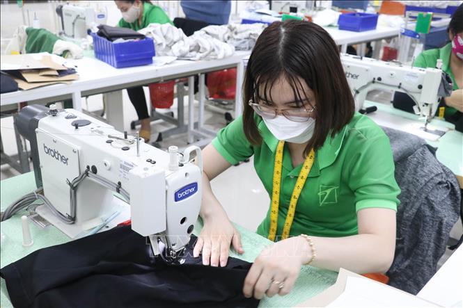Trong ảnh: Công ty TNHH Tainan Enterprises Việt Nam (Khu kinh tế Bình Hiệp, Kiến Tường, Long An) đã hoạt động 100% công suất để hoàn thành các đơn đặt hàng. Ảnh: Bùi Giang -TTXVN