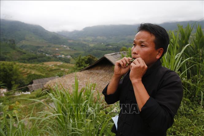 Trong ảnh: Tiếng kèn lá chính là phương tiện để người Mông bày tỏ nỗi lòng trước thiên nhiên, con người, cuộc sống. Ảnh: Nam Sương - TTXVN