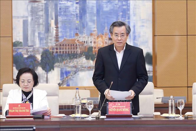 Phó trưởng Ban Tổ chức Trung ương Nguyễn Quang Dương phát biểu. Ảnh: Doãn Tấn - TTXVN