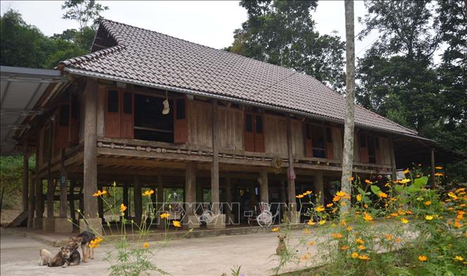 Trong ảnh: Ngôi nhà sàn của gia đình bà Phạm Thị Sáu (thôn Lập Thắng, xã Thạch Lập, huyện Ngọc Lặc) có tuổi đời gần 100 năm. Ảnh: Nguyễn Nam-TTXVN