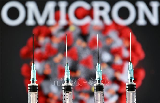 Trong ảnh: Hình ảnh các bơm tiêm và biến thể COVID-19 mới  Omicron. Ảnh: AFP/TTXVN