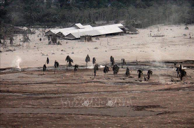 Trong ảnh: Một khu vực bị bao phủ bởi tro bụi núi lửa Semeru ở Lumajang, Đông Java, Indonesia ngày 5/12/2021. Ảnh: THX/TTXVN