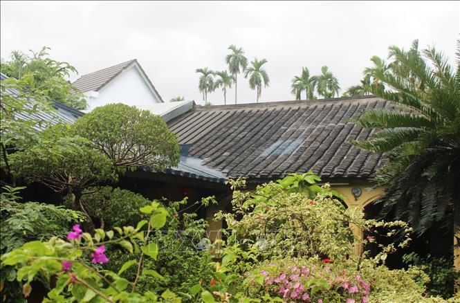 Trong ảnh: Các ngôi nhà cổ ở Phú Vinh chủ yếu sử dụng ngói âm dương. Ảnh: Phan Sáu - TTXVN