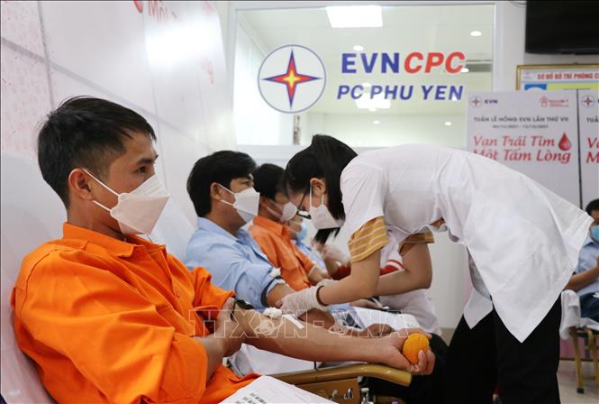 Trong ảnh: Cán bộ, công nhân viên Công ty điện lực Phú Yên hiến máu hưởng ứng Tuần lễ hồng EVN lần thứ VII. Ảnh: Phạm Cường-TTXVN