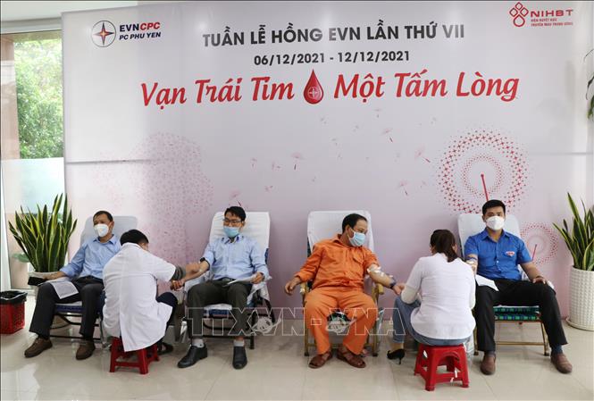 Trong ảnh: Phú Yên chia sẽ giọt máu hồng cứu người bệnh. Ảnh: Phạm Cường-TTXVN