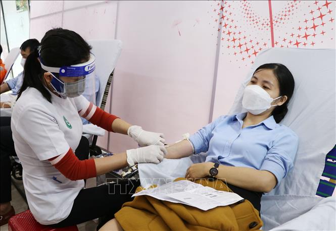 Trong ảnh: Cán bộ, công nhân viên Công ty điện lực Phú Yên hiến máu hưởng ứng Tuần lễ hồng EVN lần thứ VII. Ảnh: Phạm Cường-TTXVN

