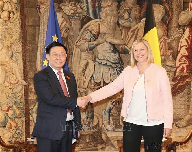 Photo: National Assembly Chairman Vuong Dinh Hue holds talks with President of the Belgian Chamber of Representatives on September 09, 2021 at Brussels. VNA Photo: Doãn Tấn